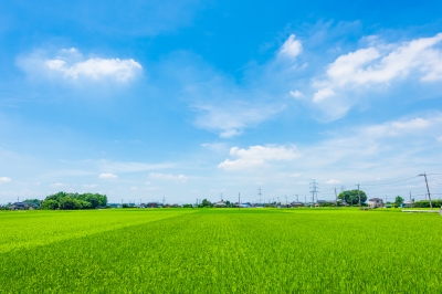 terrain constructible zone agricole